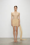 Artel Retro Sheer Nude Off-shoulder Mini  Dress