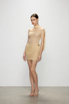 Artel Retro Sheer Nude Off-shoulder Mini  Dress
