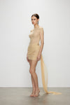 Artel Retro Sheer Nude Off-shoulder Mini  Dress