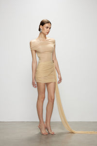 Artel Retro Sheer Nude Off-shoulder Mini  Dress