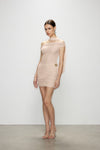 Artel Retro Sheer Off-Shoulder Pink Mini Dress