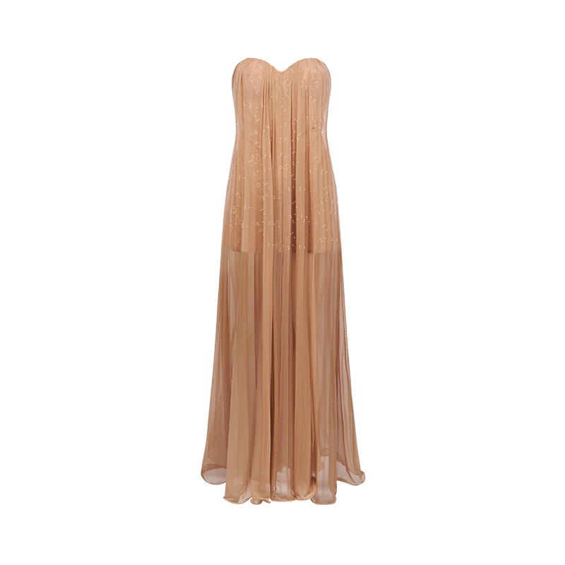 Sheer Luck Thea Sheath Mesh Backless Maxi Dress (Light Brown)
