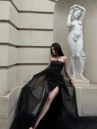 CROWCREW Night Butterfly Mist-Shrouded Strapless Dress