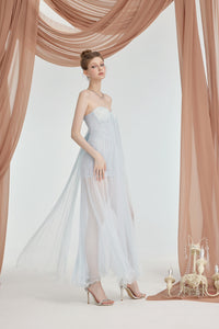 Sheer Luck Thea Sheath Mesh Backless Maxi Dress (Blue)