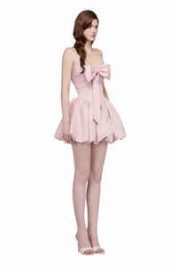 JUBIN EMERIE DRESS (pink)