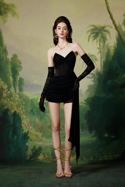 Sheer Luck Tara Black Corset Mesh Pleated Sheath Mini Dress